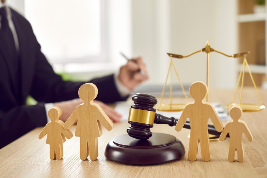 define full custody