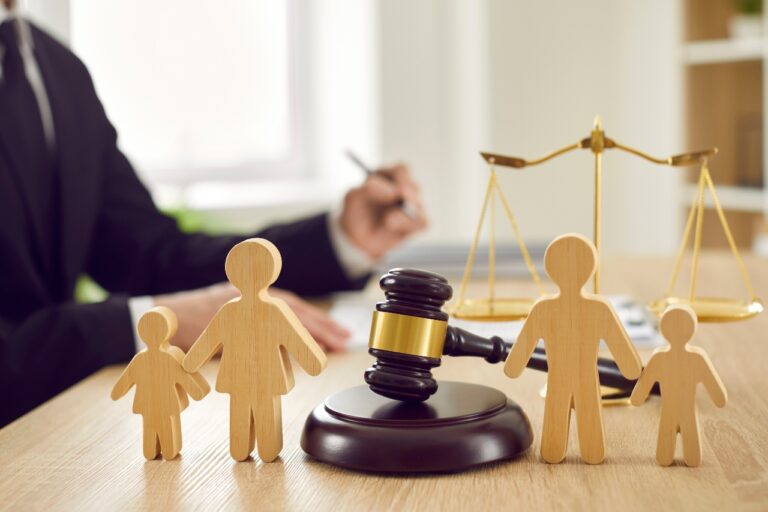 define full custody